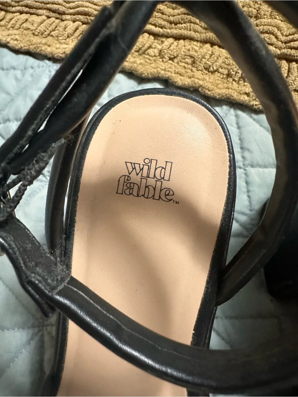 Wild Fable Astro Platforms